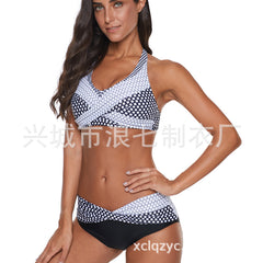 2023 New Women's Cross-Border Separates Bikini Set