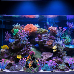 Fish Tank Decoration Coral Reef Set Aquarium Ornament Cave Plants Betta Decor