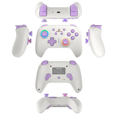 RGP01 Wireless Multi-Platform Gamepad