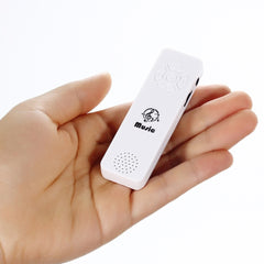Sports Fashion Mini Music Walkman Portable Audio Player