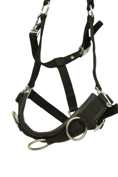 Huntley Nylon Padded Lunging Caveson, Black