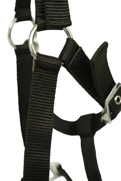 Huntley Nylon Padded Lunging Caveson, Black