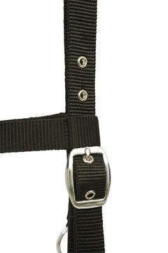 Huntley Nylon Padded Lunging Caveson, Black
