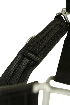 Huntley Nylon Padded Lunging Caveson, Black