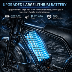 V8 Fat Tire Electric Bike (750W)