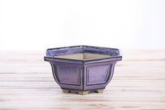 Willow Bonsai Ceramics Hexagonal Windowed Bonsai Pot 5 Inch – Semi‑Cascade Planter, High‑Fired Frost‑Proof Stoneware with Drainage & Wiring Holes, Handmade in USA (Purple)