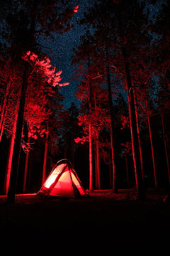 Sky View Duo Tent