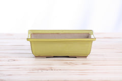 Willow Bonsai Ceramics Rectangle Bonsai Pot 8 Inch – Lower‑Profile Rectangular Ceramic Bonsai & Succulent Planter with Accentuated Rim, High‑Fired Frost‑Proof Stoneware, Handmade in USA (Yellow)