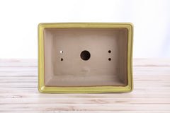 Willow Bonsai Ceramics Rectangle Bonsai Pot 8 Inch – Lower‑Profile Rectangular Ceramic Bonsai & Succulent Planter with Accentuated Rim, High‑Fired Frost‑Proof Stoneware, Handmade in USA (Yellow)