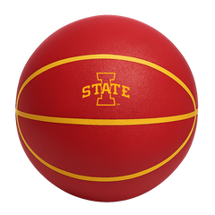 Color Splash QT BNZ Basketball