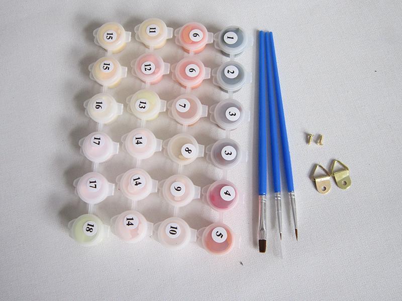 DIY Digital Oil Painting Kit