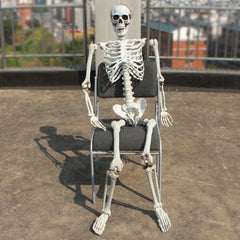 Realistic Skeleton Model
