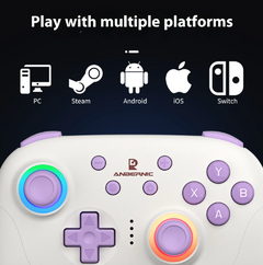 RGP01 Wireless Multi-Platform Gamepad