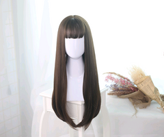 Lolita Wig 65cm Black Long Straight Hairstyle
