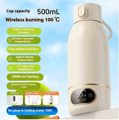Portable Electric Kettle
