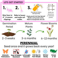 English Daisy 'Mixed' Seed Pouch