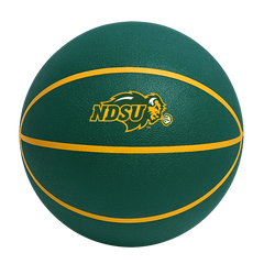 Color Splash QT BNZ Basketball