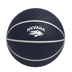 Color Splash QT BNZ Basketball