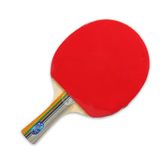 REGAIL 8010 Table Tennis Racket Set with 3 Balls