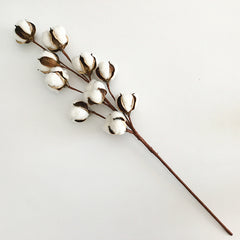 Dried Cotton Flower Stems for DIY Bouquet Decoration
