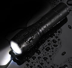 UV LED Flashlight Blacklight 2-in-1 Pocket Torch