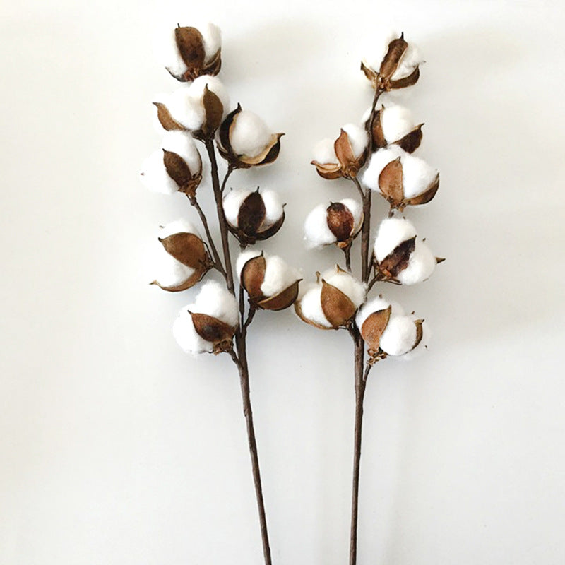 Dried Cotton Flower Stems for DIY Bouquet Decoration