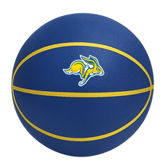 Color Splash QT BNZ Basketball