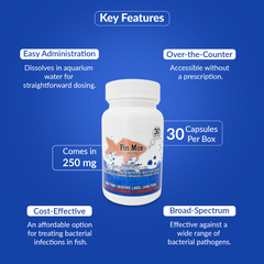 Fish Mox 250mg Capsules for Aquarium Fish – Water Care Support