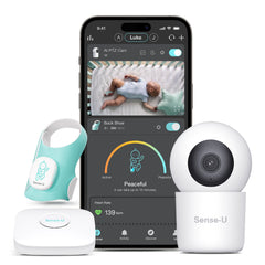 Smart Sock Shoe (Long Range)