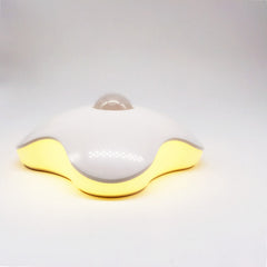 LED Clover Motion Sensor Night Light (Rechargeable)