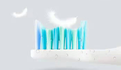 Electric Toothbrush Heads for Shuke and Giden/Seja