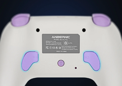 RGP01 Wireless Multi-Platform Gamepad