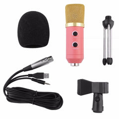 MK-F100TL Microphone with Reverb, No Sound Card Needed