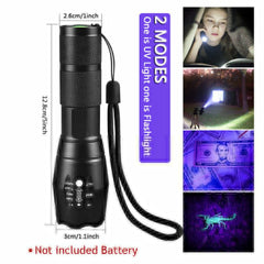 UV LED Flashlight Blacklight 2-in-1 Pocket Torch