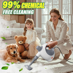 Steam Cleaner