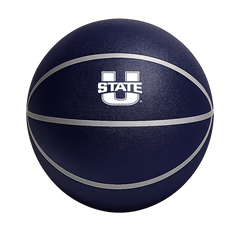 Color Splash QT BNZ Basketball