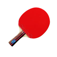REGAIL 8010 Table Tennis Racket Set with 3 Balls