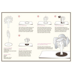 Crystal Growing: Cherry Tree