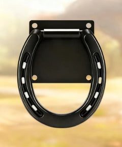 Solid Steel Expansion Bolt Tie Ring