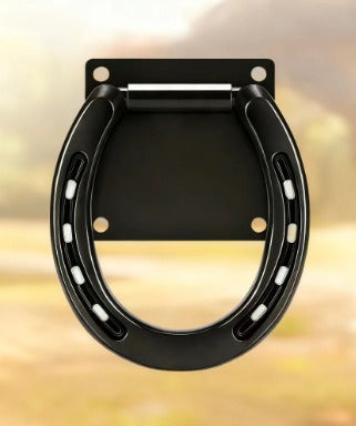 Solid Steel Expansion Bolt Tie Ring