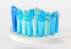 Electric Toothbrush Heads for Shuke and Giden/Seja
