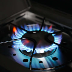 Eminence 425 | Iconic Fortified Propane Gas Grill