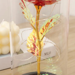 Rainbow Rose Light in Dome - Gift for Women
