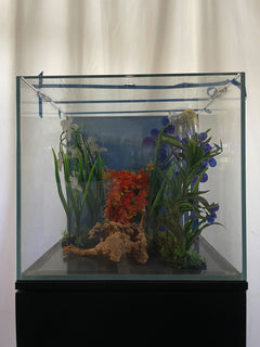 ULTRA CLEAR GLASS - 18 gallon cube fish tank aquarium full setup w/ filtration