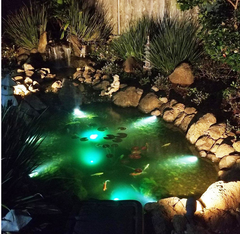 Solar Colorful Underwater Lights for Landscape (LED)