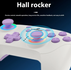 RGP01 Wireless Multi-Platform Gamepad