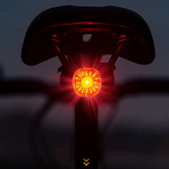 Bike Smart Brake Taillight