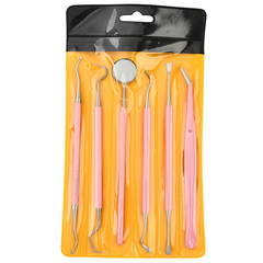 Stainless Steel Oral Care Tool Set