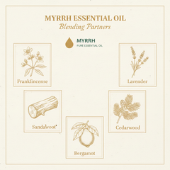 Plant Therapy Myrrh Pure Essential Oil | KidSafe | 5 mL
