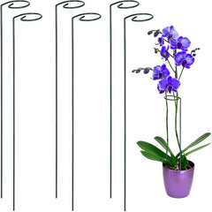 Metal Plant Support Stake for Orchids and Plants